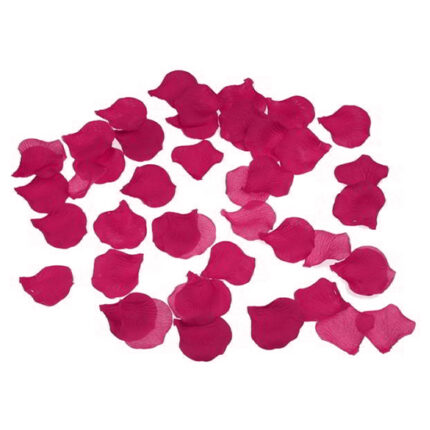 100 PETALOS COLOR FUSCIA - 001