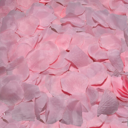 100 PETALOS COLOR ROSA - 001