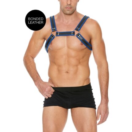 BUCKLE BULLDOG HARNESS - AZUL - 001