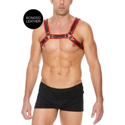 BUCKLE BULLDOG HARNESS - ROJO - 001