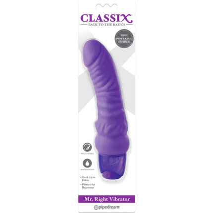 MR. RIGHT VIBRADOR - MORADO - 002