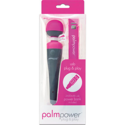 PALMPOWER PLUG & PLAY - 002