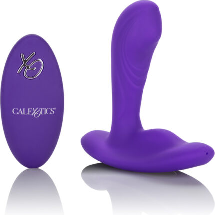 PINPOINT PLEASER VIBRADOR ANAL - MORADO - 001