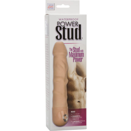 POWER STUD ROD IVORY - 002