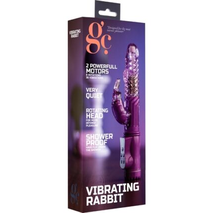 RABBIT VIBRADOR - MORADO - 002