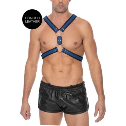 SCOTTISH HARNESS - AZUL - 001