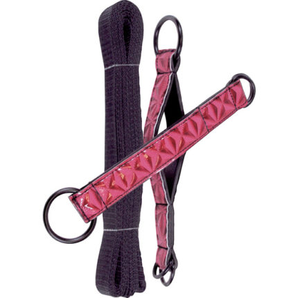 SINFUL RESTRICCIONES PARA LA CAMA ROSA - 001