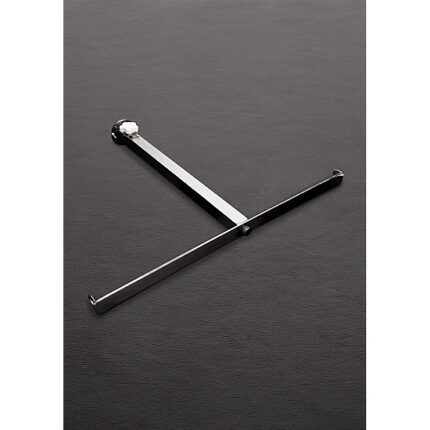 THE ANAL IMPALER - ACERO INOX - 001