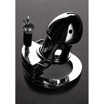 THE PRISON BIRD - ACERO INOX - 002