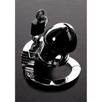 THE PRISON BIRD - ACERO INOX - 001