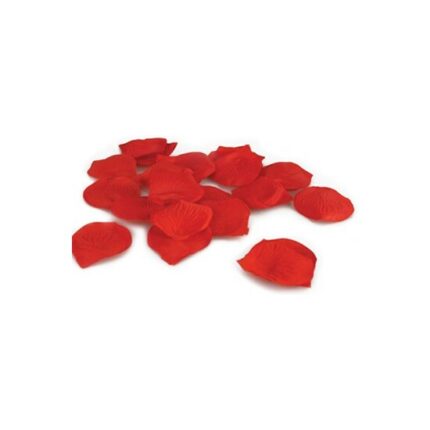 TOUCHE PETALOS ROSA - 001